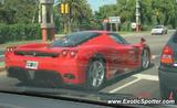 Ferrari Enzo