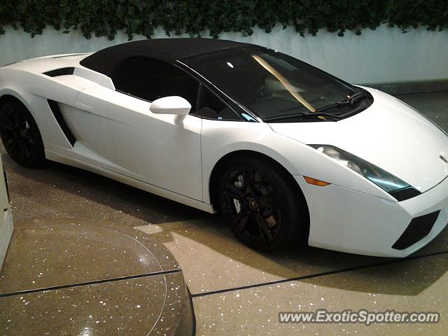 Lamborghini Gallardo spotted in Las Vegas, Nevada