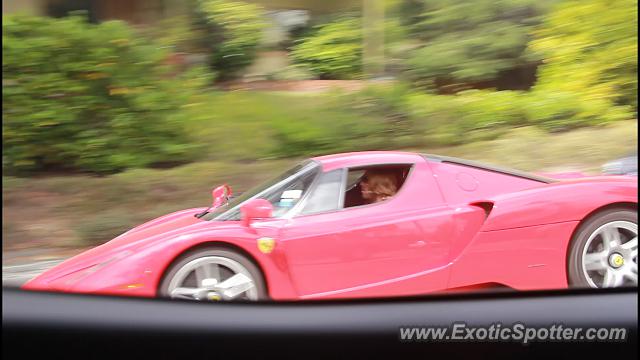 Ferrari Enzo spotted in Carmel, California