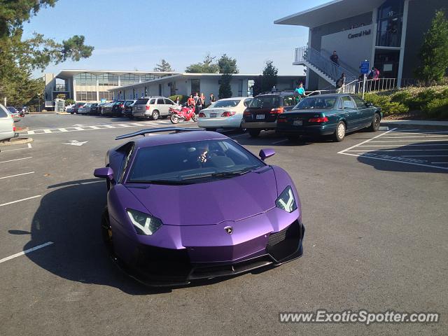 Lamborghini Aventador spotted in Hillsborough, California