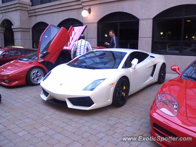 Lamborghini Gallardo spotted in Halifax, NS, Canada