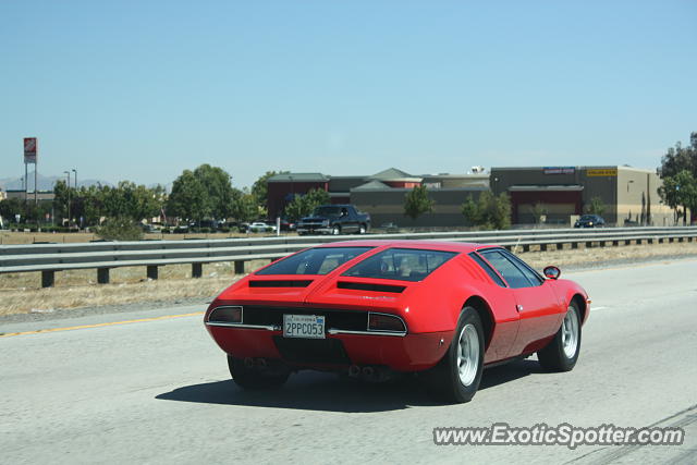 DeTomaso Mangusta spotted in Gilroy, California