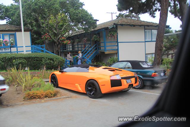 Lamborghini Murcielago spotted in Carmel, California