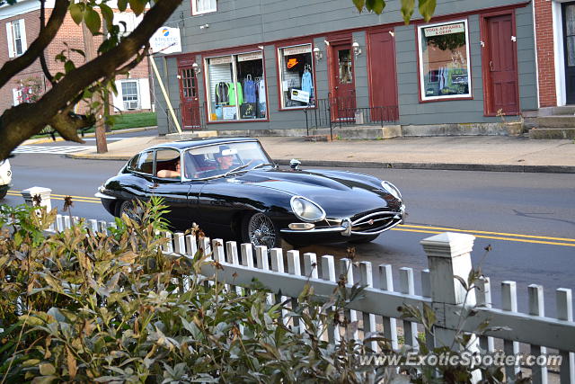 Jaguar E-Type spotted in Newtown, Pennsylvania