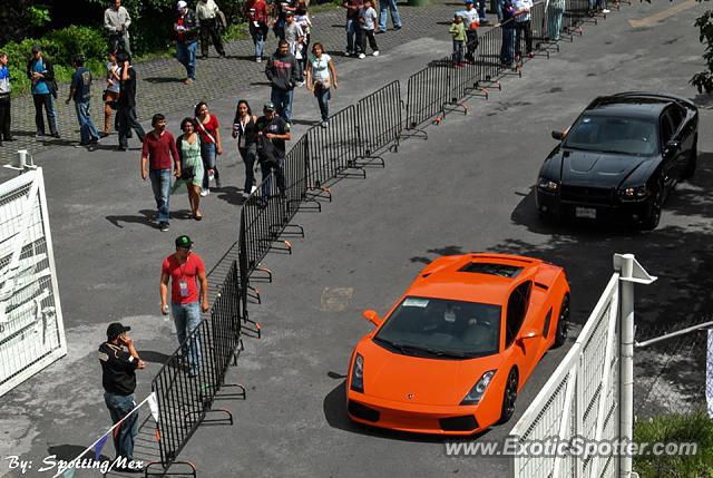 Lamborghini Gallardo spotted in Mexico City, Mexico