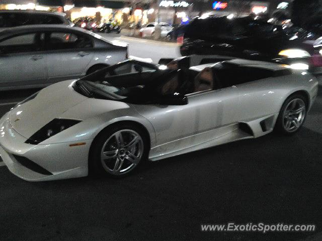 Lamborghini Murcielago spotted in Ashburn, Virginia