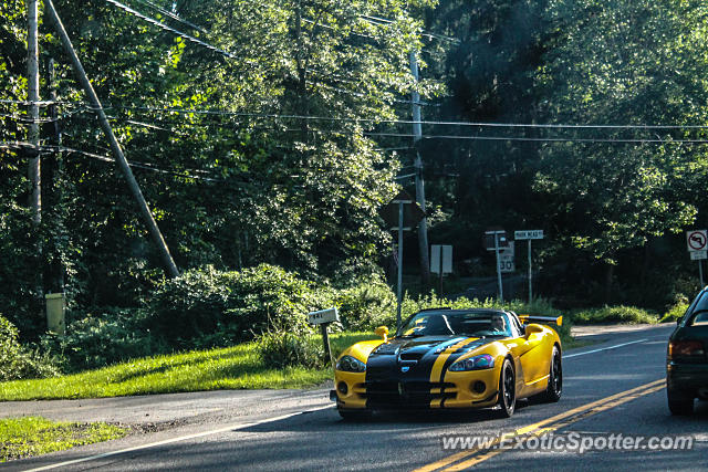 Dodge Viper spotted in Cross River, New York