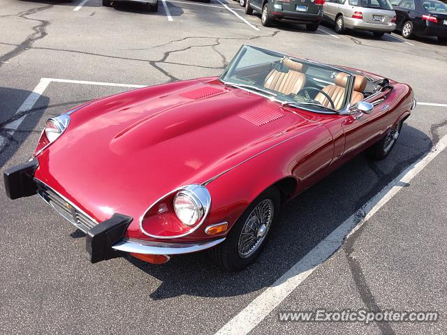 Jaguar E-Type spotted in Bethesda, Maryland