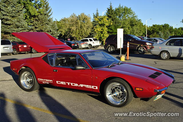 DeTomaso Pantera2 spotted in Winnipeg, Canada