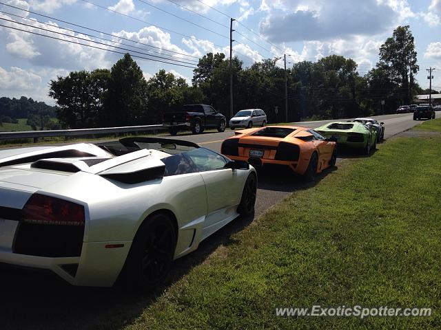Lamborghini Murcielago spotted in Leipers Fork, TN, Tennessee