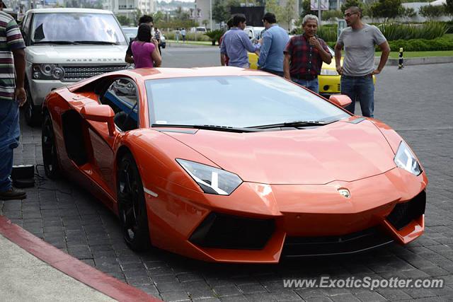 Lamborghini Aventador spotted in Zapopan, Mexico