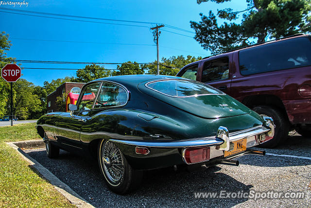Jaguar E-Type spotted in Cross River, New York