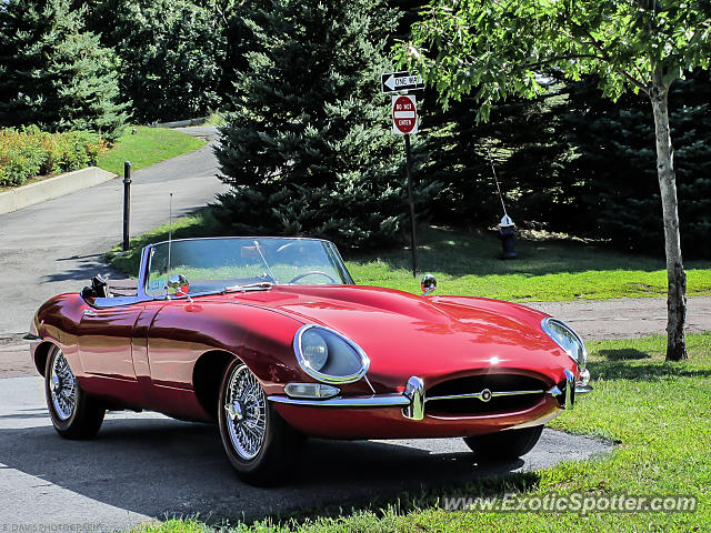 Jaguar E-Type spotted in Brookline, Massachusetts