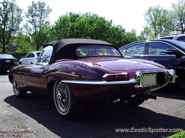 Jaguar E-Type spotted in Westerville, Ohio
