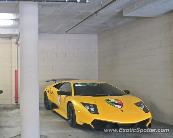 Lamborghini Murcielago spotted in Monterey, California