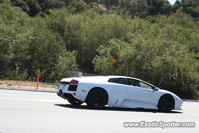 Lamborghini Murcielago spotted in Monterey, California