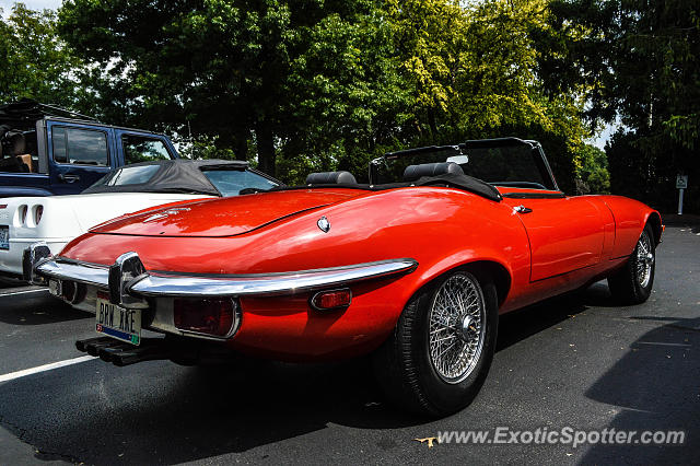 Jaguar E-Type spotted in Cincinnati, Ohio