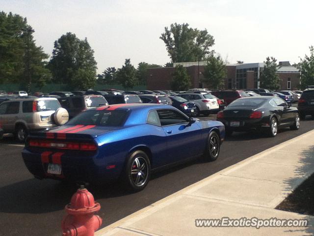 Bentley Continental spotted in Upper Arlington, Ohio