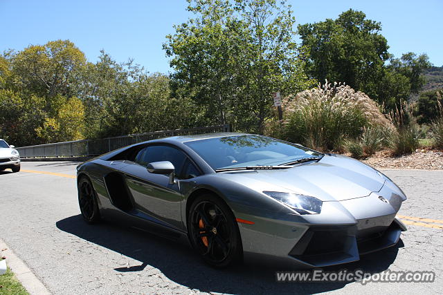 Lamborghini Aventador spotted in Monterey, California