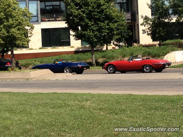 Jaguar E-Type spotted in Minneapolis, Minnesota