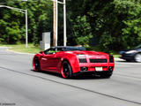 Lamborghini Gallardo