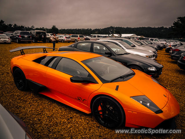 Lamborghini Murcielago spotted in Carmel, California
