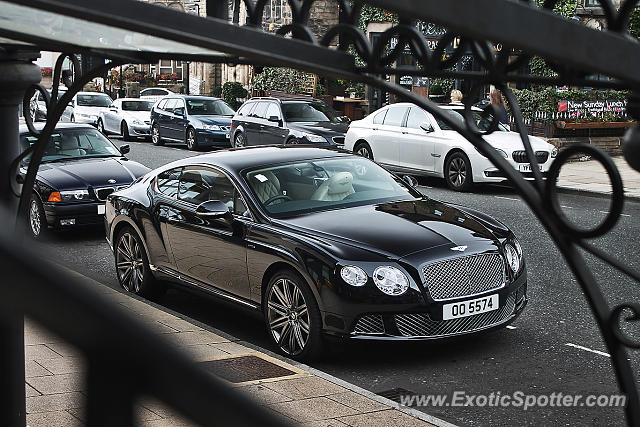 Bentley Continental spotted in Harrogate, United Kingdom