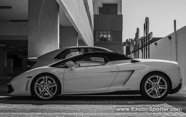 Lamborghini Gallardo spotted in Dubai, United Arab Emirates