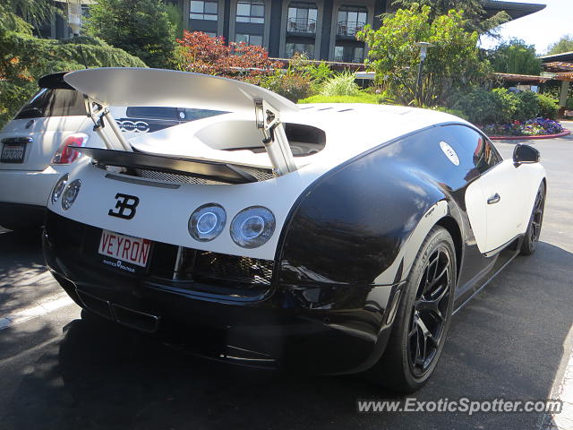Bugatti Veyron spotted in Monterey, California