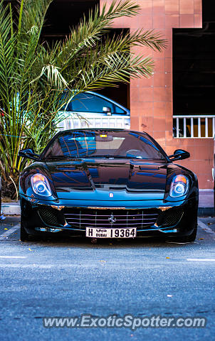 Ferrari 599GTB spotted in Dubai, United Arab Emirates