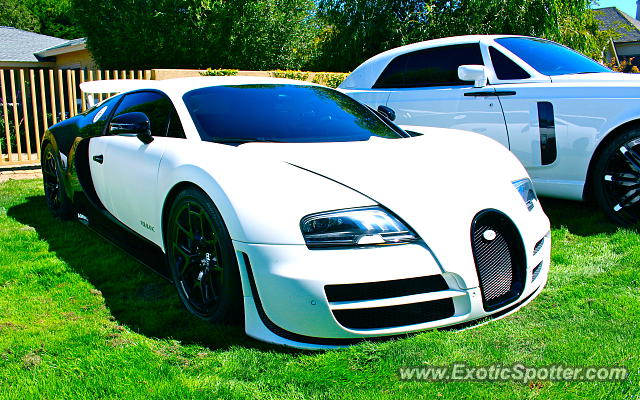 Bugatti Veyron spotted in Carmel, California