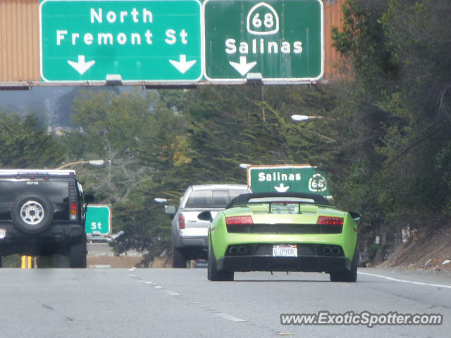 Lamborghini Gallardo spotted in Monterey, California