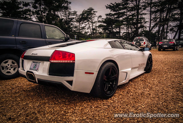Lamborghini Murcielago spotted in Carmel, California