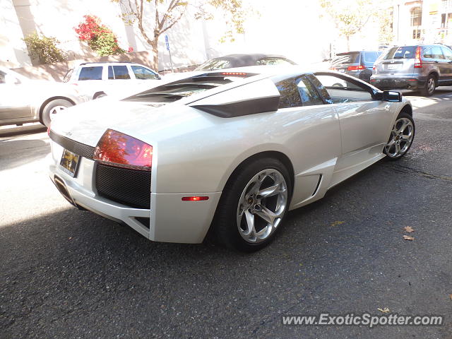 Lamborghini Murcielago spotted in San Francisco, California