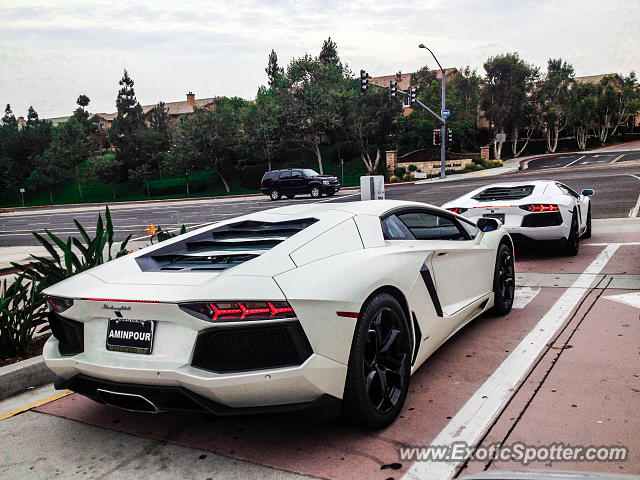 Lamborghini Aventador spotted in Carmel Valley, California
