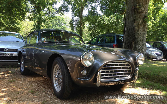 Shelby Cobra spotted in Beaulieu, United Kingdom
