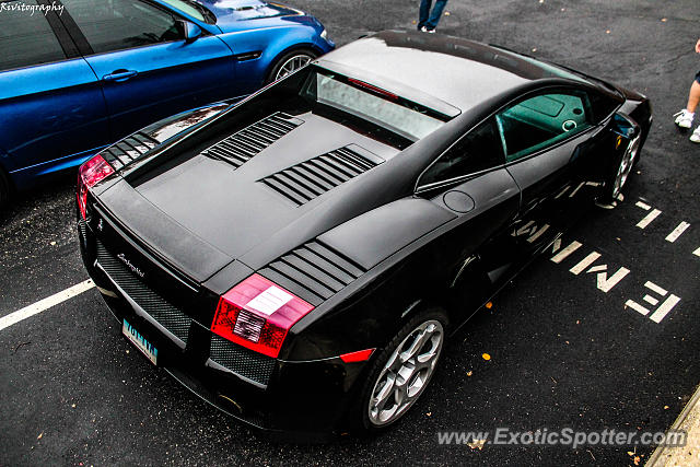 Lamborghini Gallardo spotted in New Canaan, Connecticut