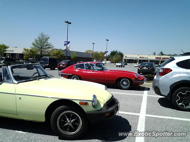 Jaguar E-Type spotted in Ellicott City, Maryland