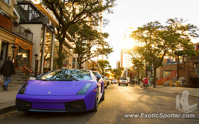 Lamborghini Gallardo spotted in Toronto, Canada