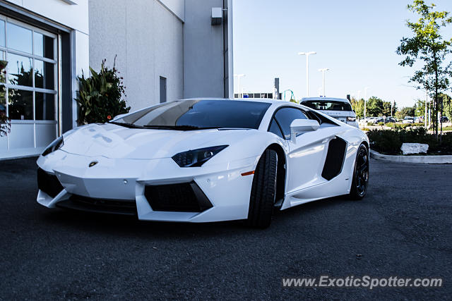 Lamborghini Aventador spotted in Toronto, Canada