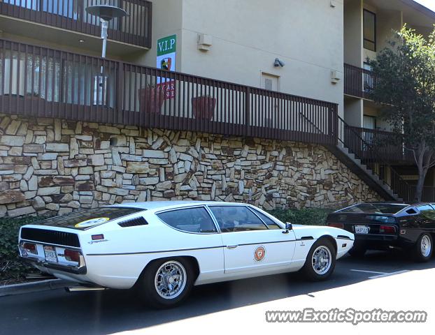 Lamborghini Espada spotted in Monterey, California