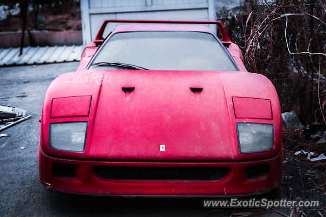 Ferrari F40 spotted in Erbil, Iraq