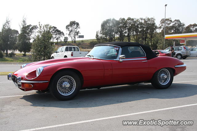 Jaguar E-Type spotted in Gundagai, Australia