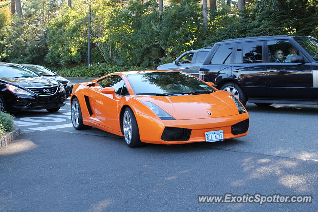 Lamborghini Gallardo spotted in Manhasset, New York