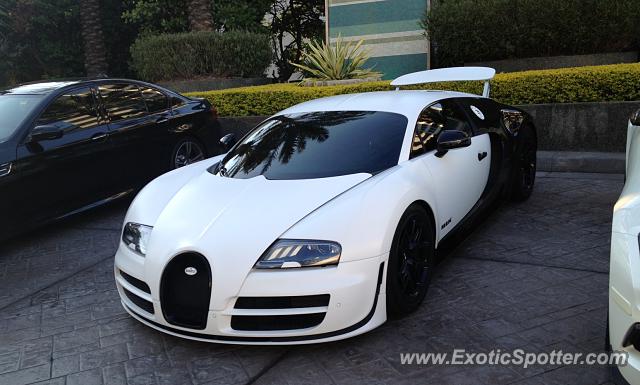 Bugatti Veyron spotted in Miami, Florida