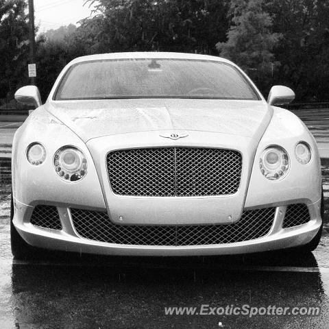 Bentley Continental spotted in Atlanta, Georgia
