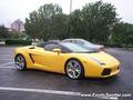 Lamborghini Gallardo