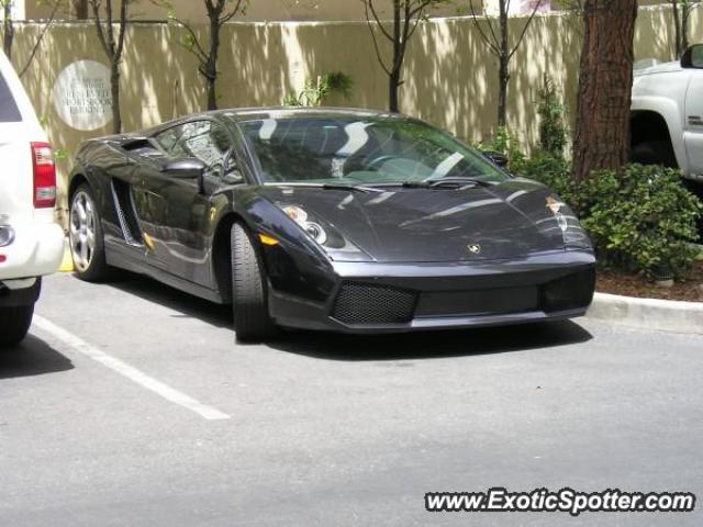 Lamborghini Gallardo spotted in Las Vegas, Nevada