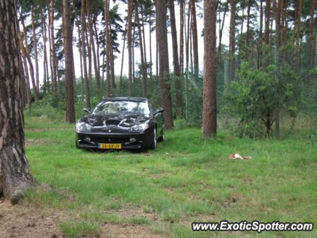Ferrari 550 spotted in Zolder, Belgium