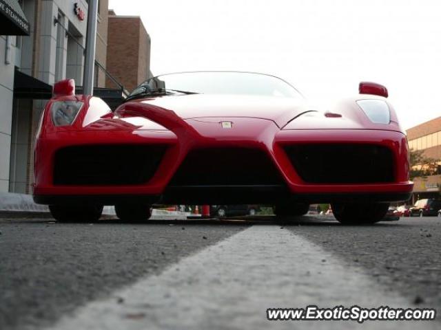 Ferrari Enzo spotted in Birmingham, Michigan
